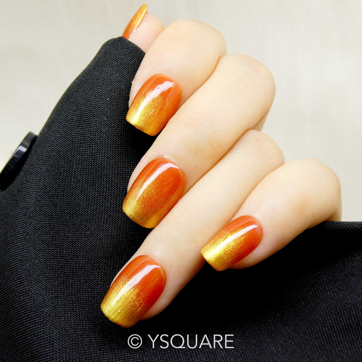 < Soleil d’Automne >