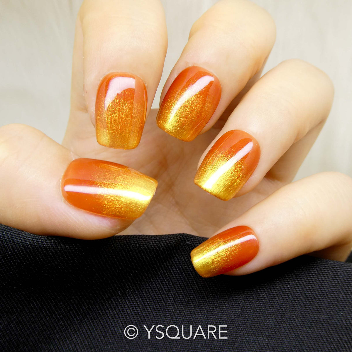 < Soleil d’Automne >
