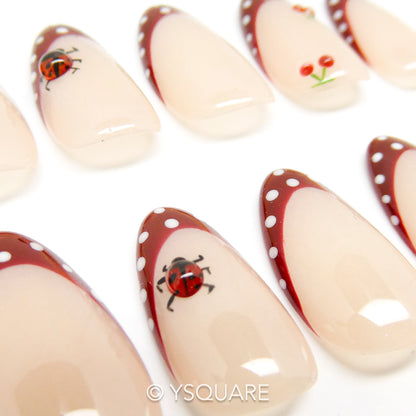 < Coccinelle >