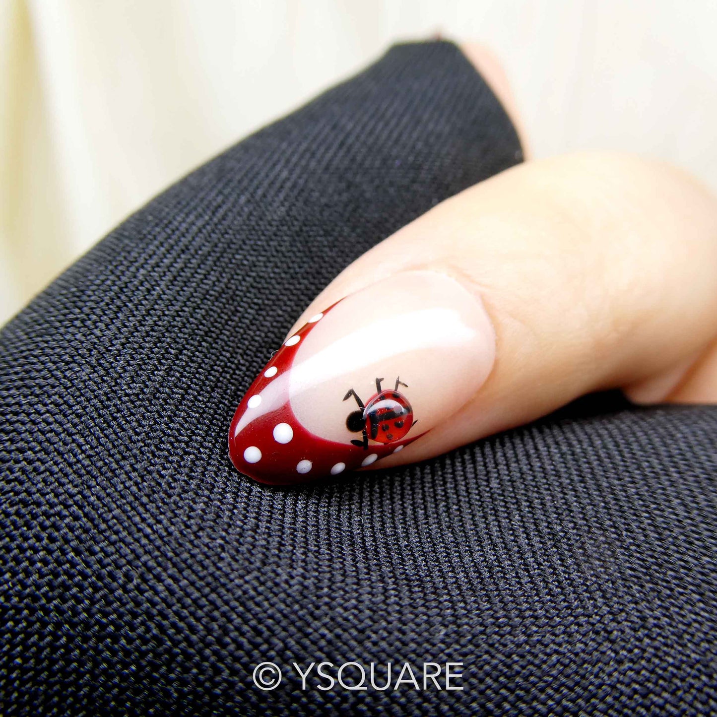 < Coccinelle >