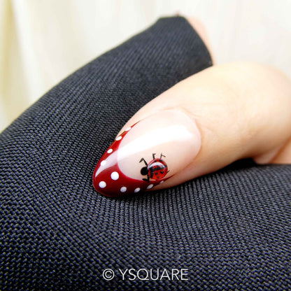 < Coccinelle >