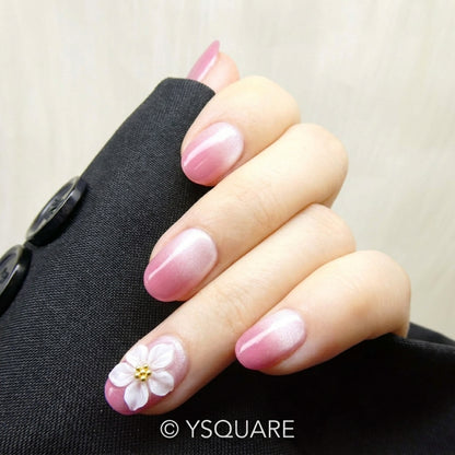 < Sakura >